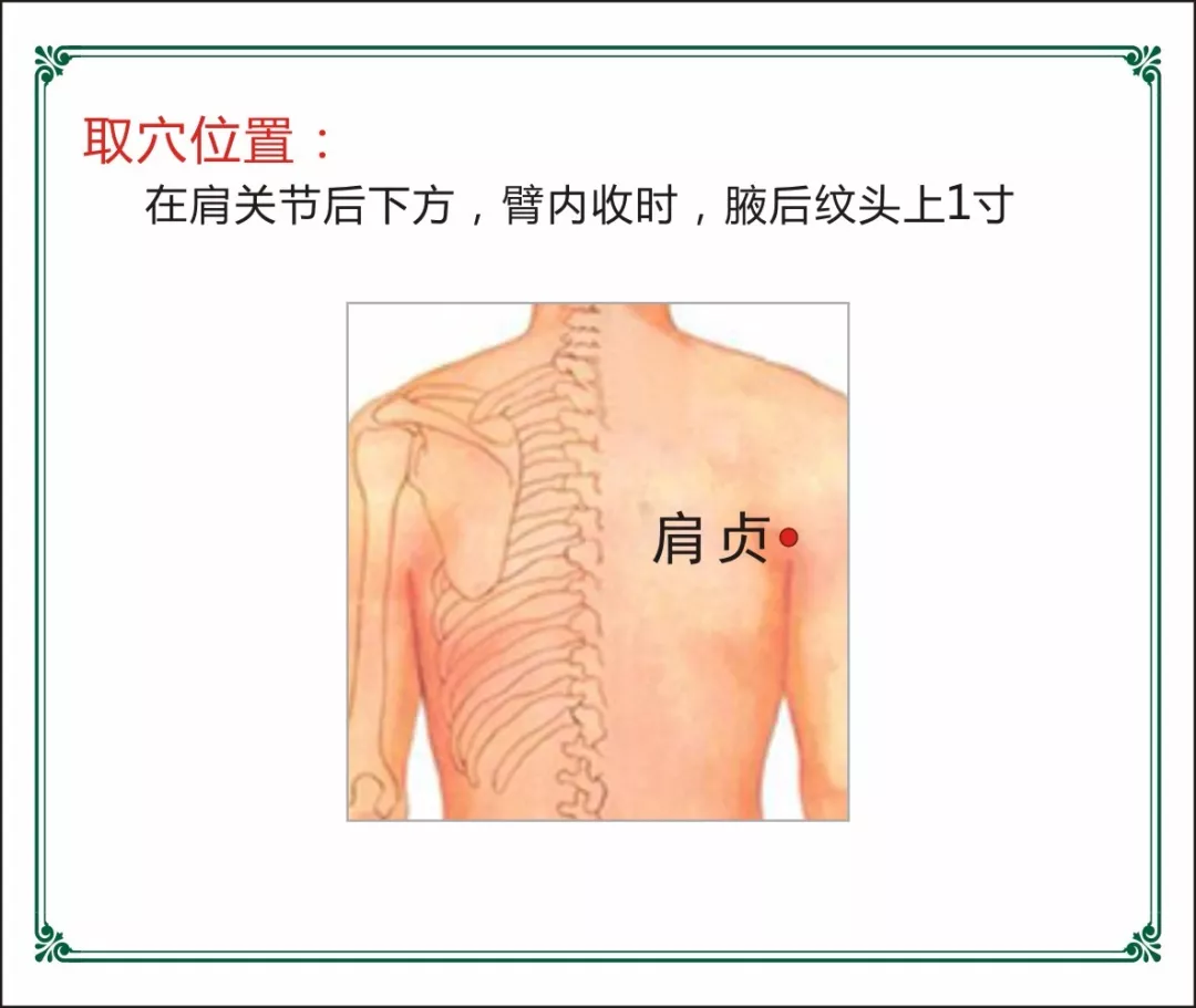 肩颈上三个经络肩膀图片