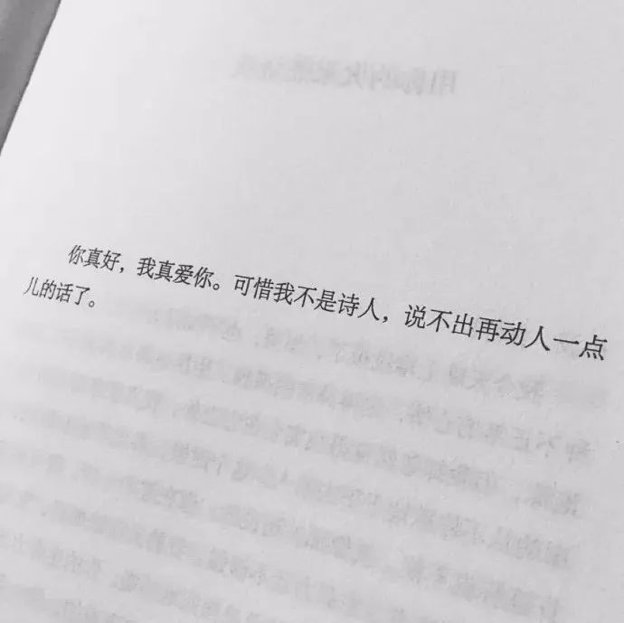 8月最新最流行的微信文字头像可做背景图