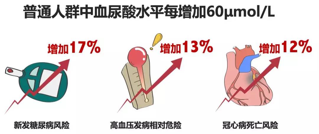 查出高尿酸血癥別愁這小部分人群才有痛風高風險