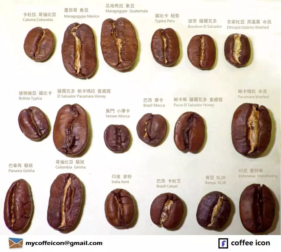 咖啡品种大全 古老的咖啡品种介绍,原生种和变异种介绍与风味特