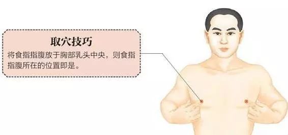 乳中准确位置图图片