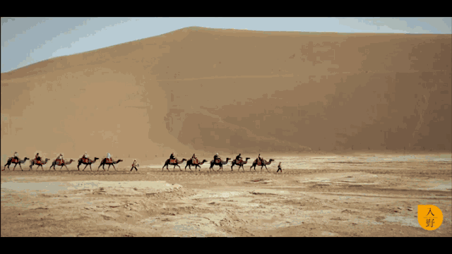 骆驼嚼东西动图gif图片