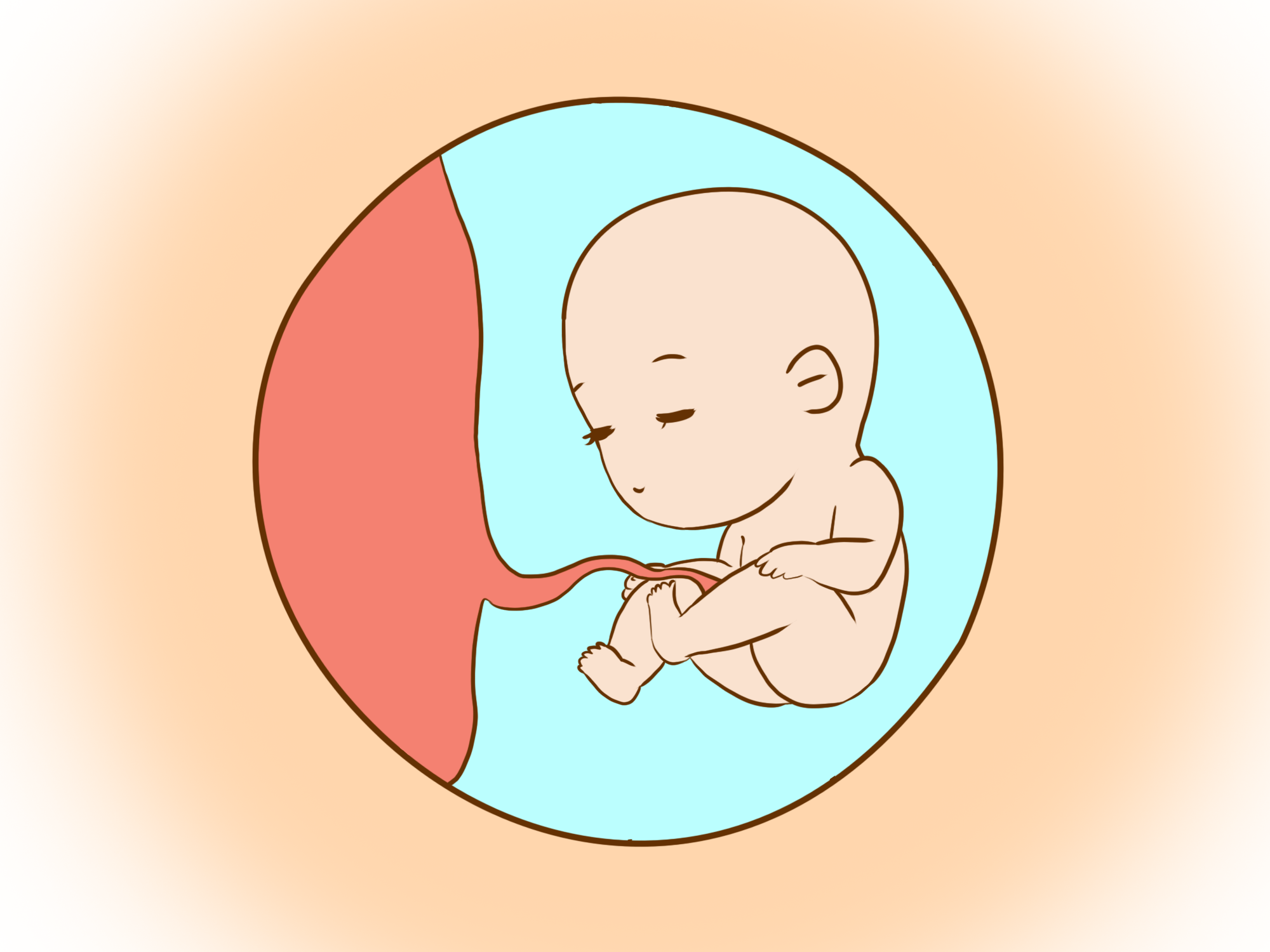孕后哪个阶段胎儿易出现危险什么时间能检查出来干货在这里
