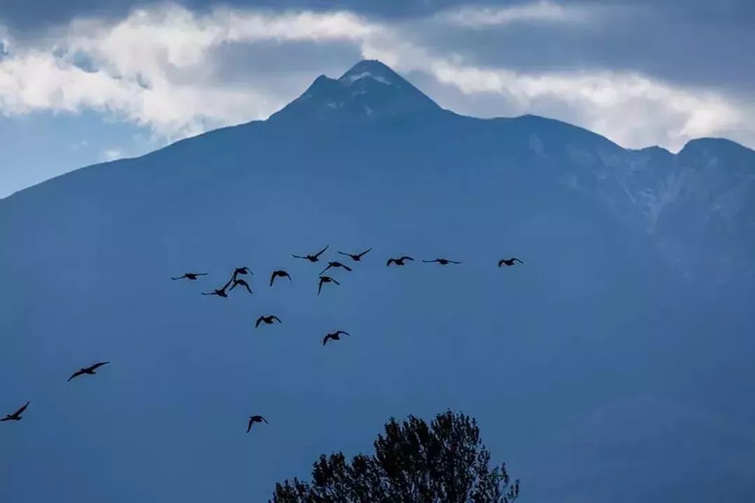 《從軍行七首·其四》唐·王昌齡青海長雲暗雪山,孤城遙望玉門關.