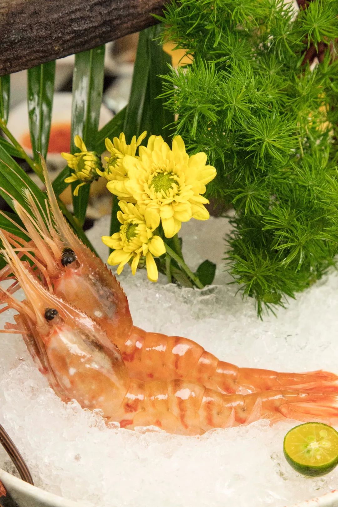 牡丹虾一定要多吃几颗才不算白来一般料理店吃不到这样好的翡翠螺肉质