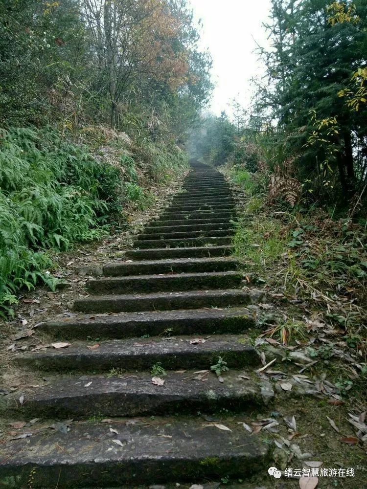 上到一个小山坡,开始有个岔路口,上面挂着指路牌一一官山岗尖.