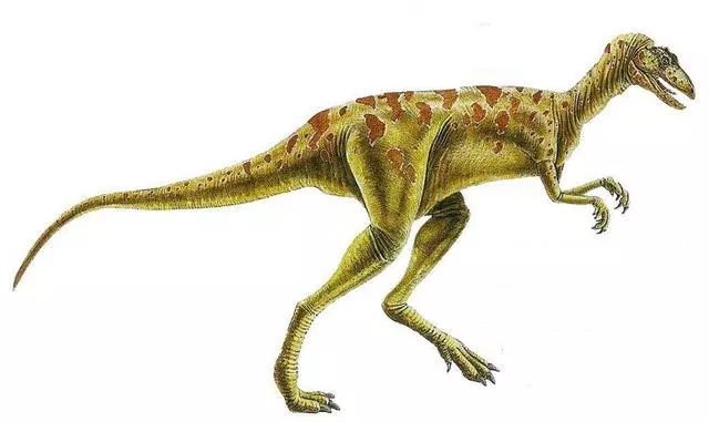 始盗龙三叠纪最原始的恐龙