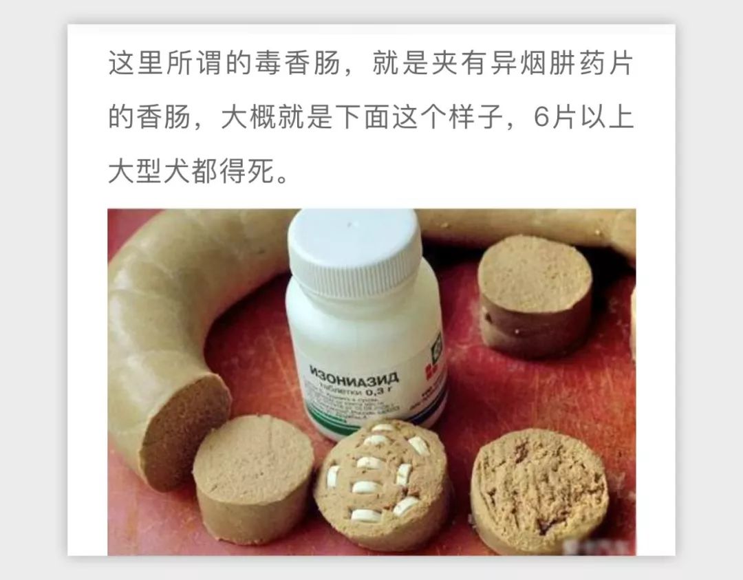 现在毒狗成那啥正确了?