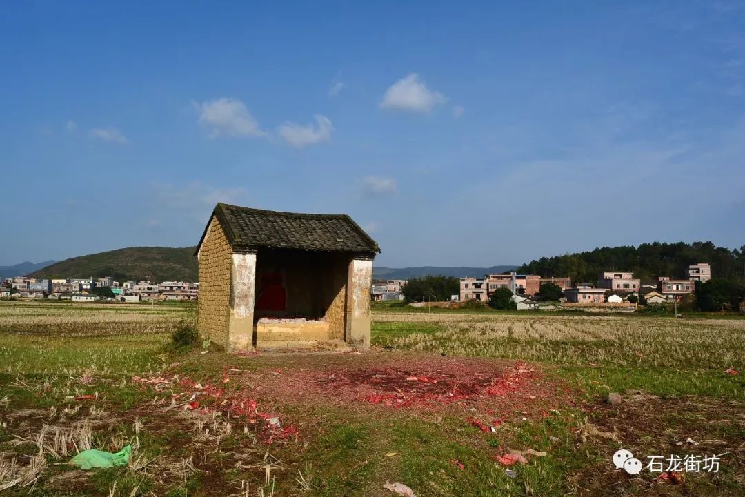 故乡的原风景:四林村-家乡小景胜过4a