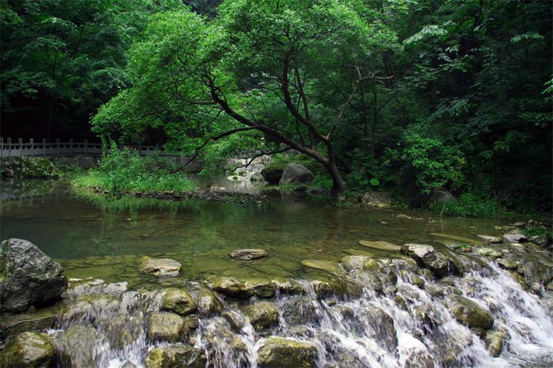 陝西商洛 峽谷奇觀生態王國的金絲大峽谷_森林公園