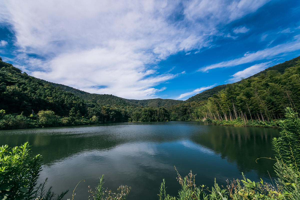 江浙滬休閒度假好去處茅山腳下寶盛園享野趣時光