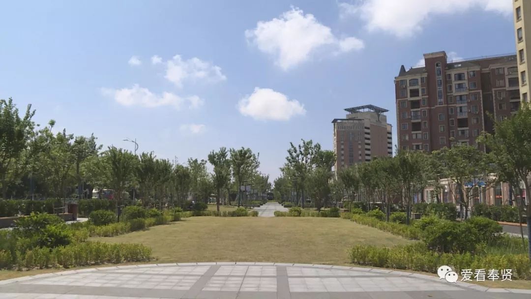 贊海灣鎮有個火車頭公園別羨慕未來五年百座公園覆蓋全奉賢