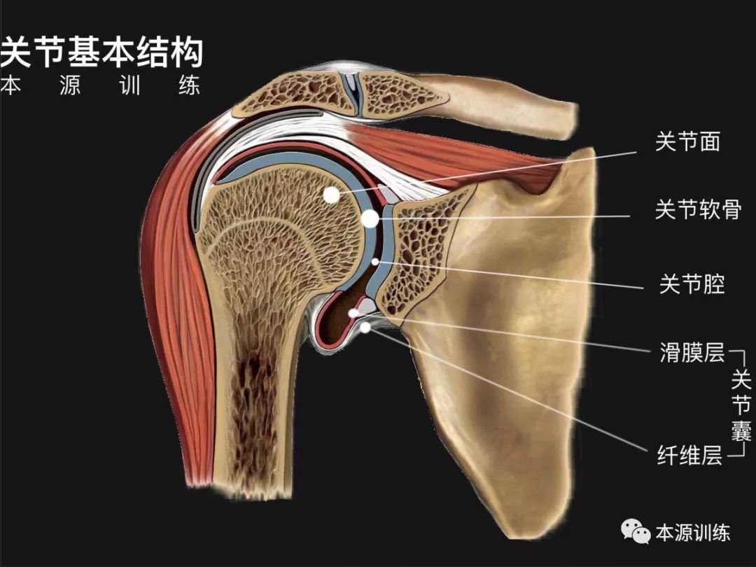 教会员练基本功,一定要注意这两点