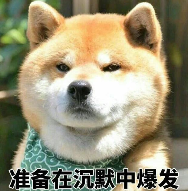 被主人骗去洗澡的柴犬,从微笑到生无可恋!网友:令人心疼!