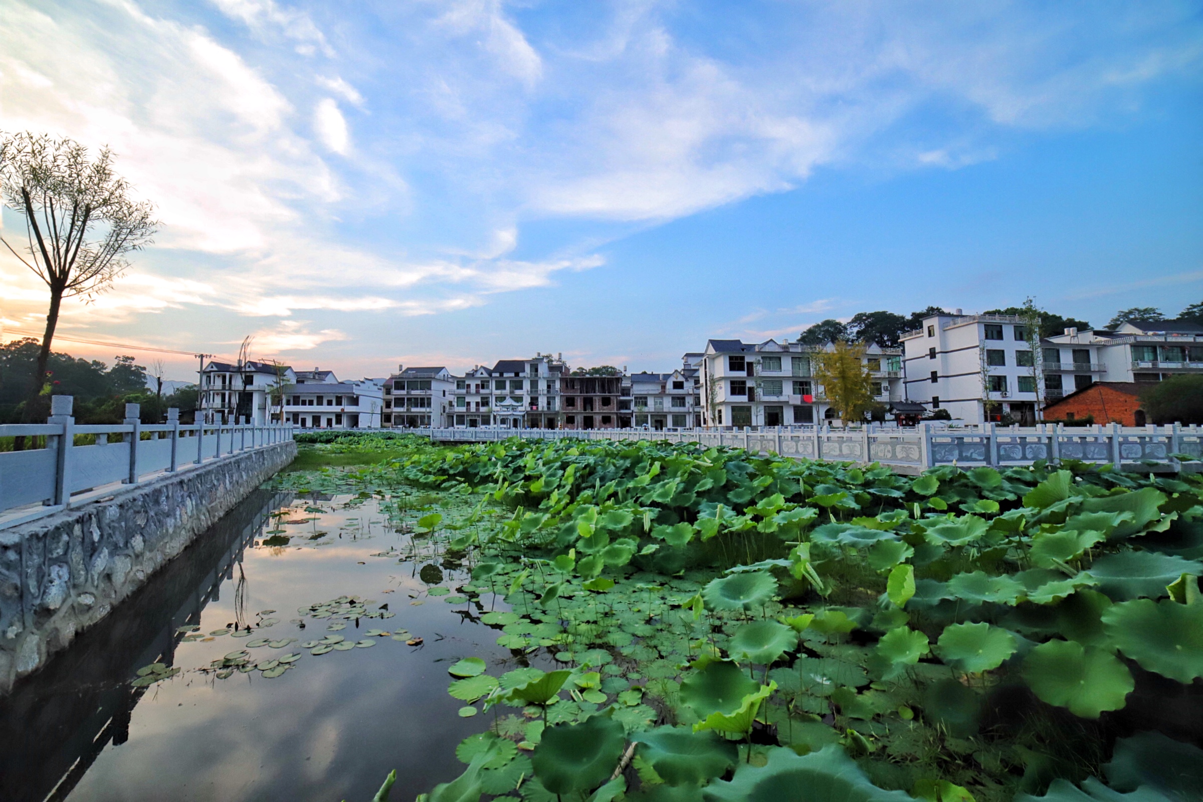 弋阳湖塘,写下《清贫》的方志敏的故乡_湖塘村