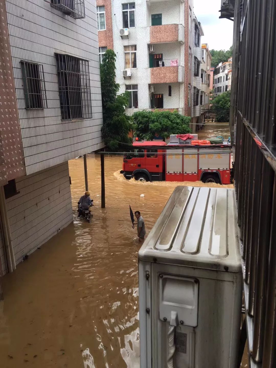 受強降雨的影響,陽春市各鄉鎮,市區等多個地方出現嚴重水浸,人民的