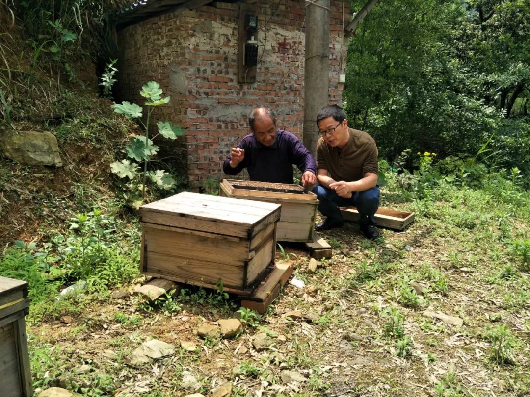 29,作品:笑脸作者:赖建定驻村名:新昌镇桂花村简述:桂花村给60岁以上