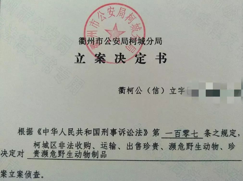 正式立案偵查浙江省衢州市柯城分局2018年3月立即趕赴廣東瞭解案件