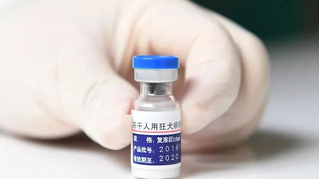 国家药监局近日联合印发《接种长春长生公司狂犬病疫苗续种补种方案》