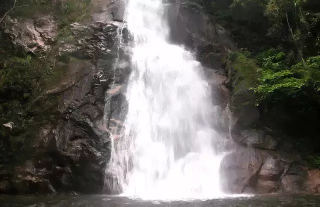 06299第一峰高山板栗節陽山魚水小桂林二天