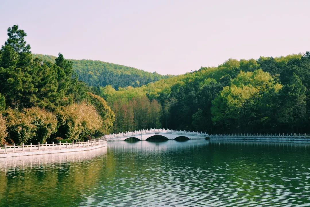 九真山風景區(正門)返回搜狐,查看更多