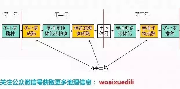 我国作物熟制图片