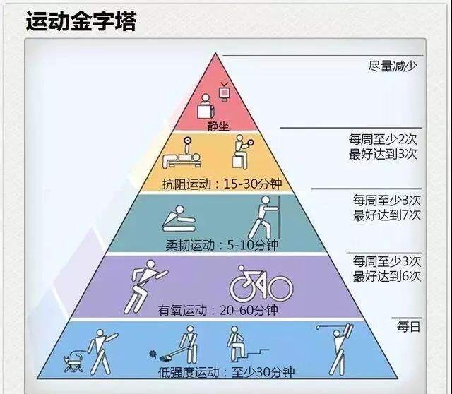 快看看运动金字塔!_身体