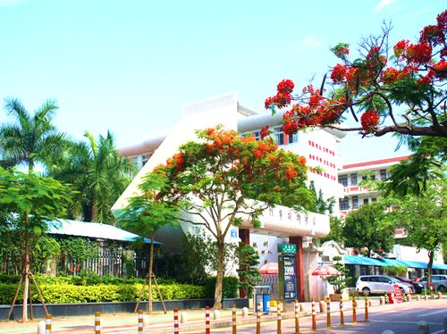 厦门市槟榔中学