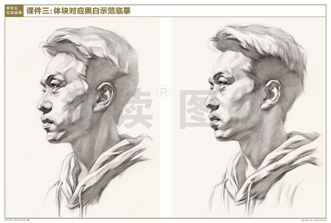 素描超級課件20素描頭像從石膏五官到人像結構一本通太全了單單靠電子