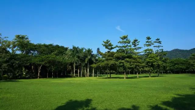 深圳最適合一日遊的免費景點,各區都有!不要再說週末沒地方去啦.