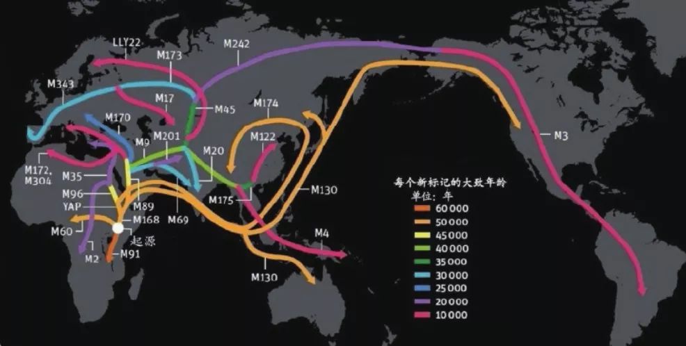 群星基因飞升人口增长率_中国人口增长率变化图