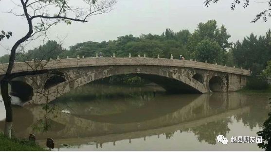 洨河赵县段水位达今年新高,半个赵州桥都泡水里了!