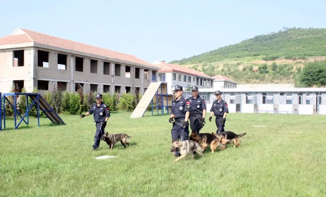 北京警犬基地训练基地图片