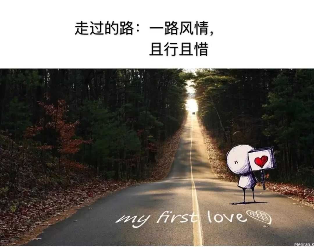 遇过的人,读过的书,走过的路