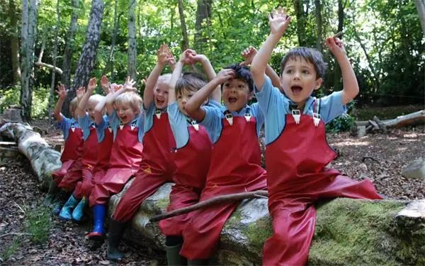 臨沂首家森林幼兒園課程曝光!家長都看呆了