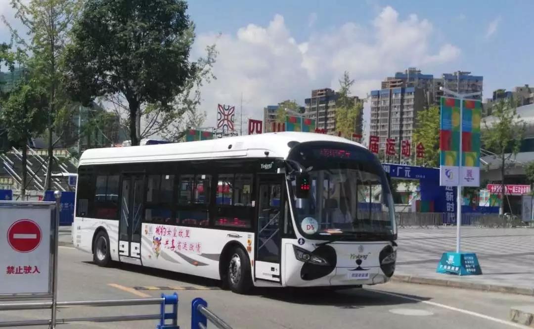 都江堰公交熊猫图片