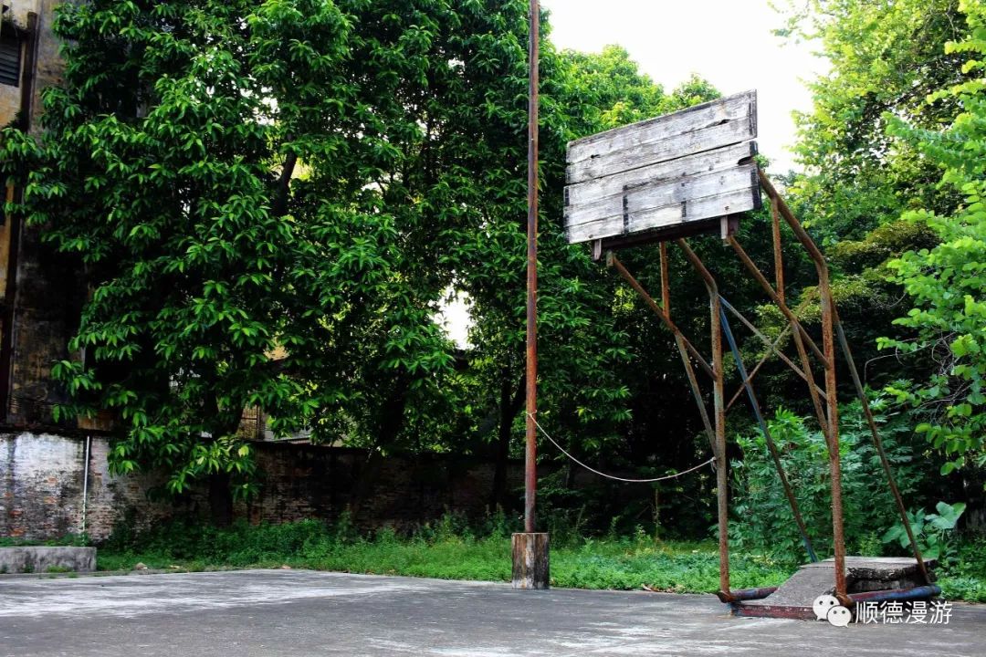 篮球架后原是跳沙池围墙原有门口,墙后是教务处,wc.