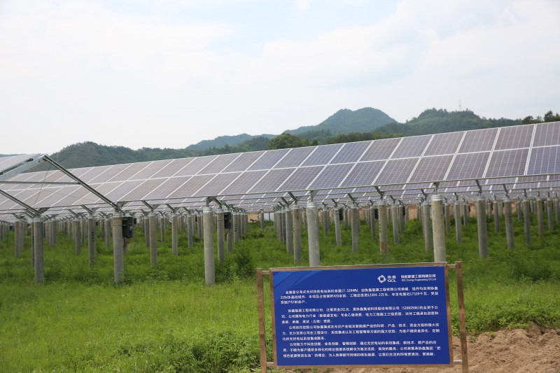 油茶基地做光伏图片