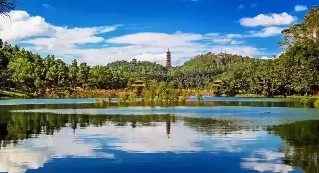 鳥語花香叫仙鶴湖有一顆西江之畔的璀璨明珠在鶴山省衛生城市等稱號省