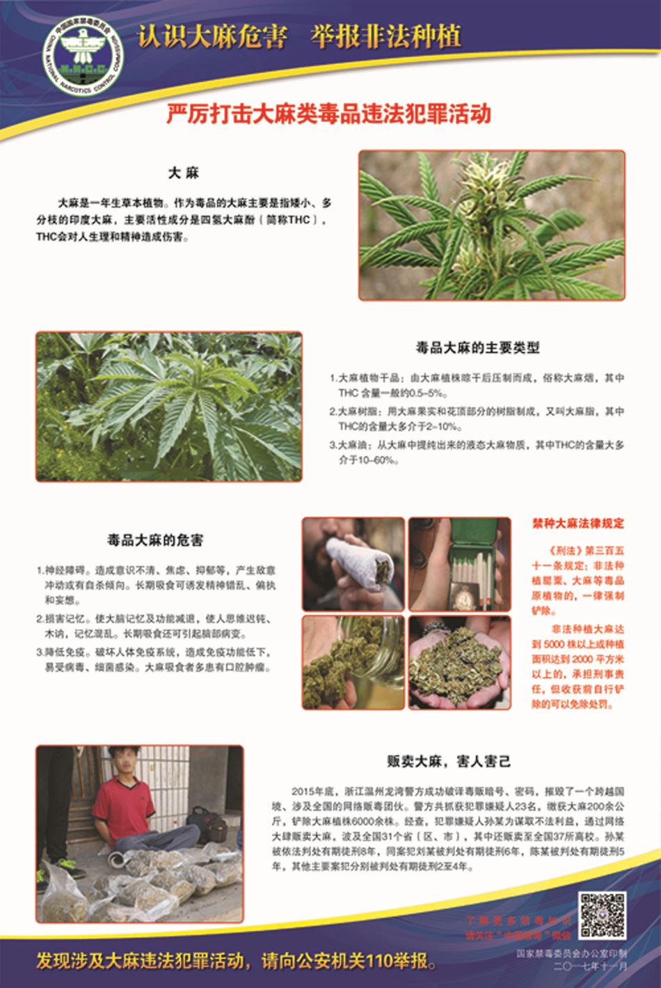 1(点击查看大图 毒品识别之 认识大麻危害(点击查看大图 责任