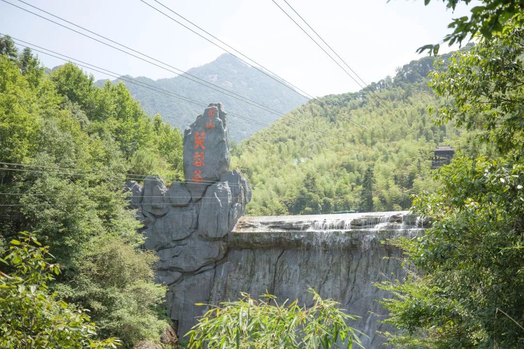 电台主持人邀您一起嗨翻黄山·芙蓉谷音乐节!