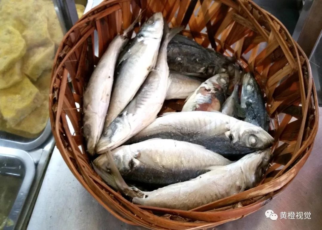 紡錘體形的巴浪魚(學名叫藍圓鰺)是東山周邊海域