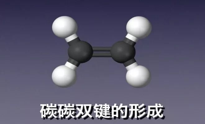 碳氧双键图片