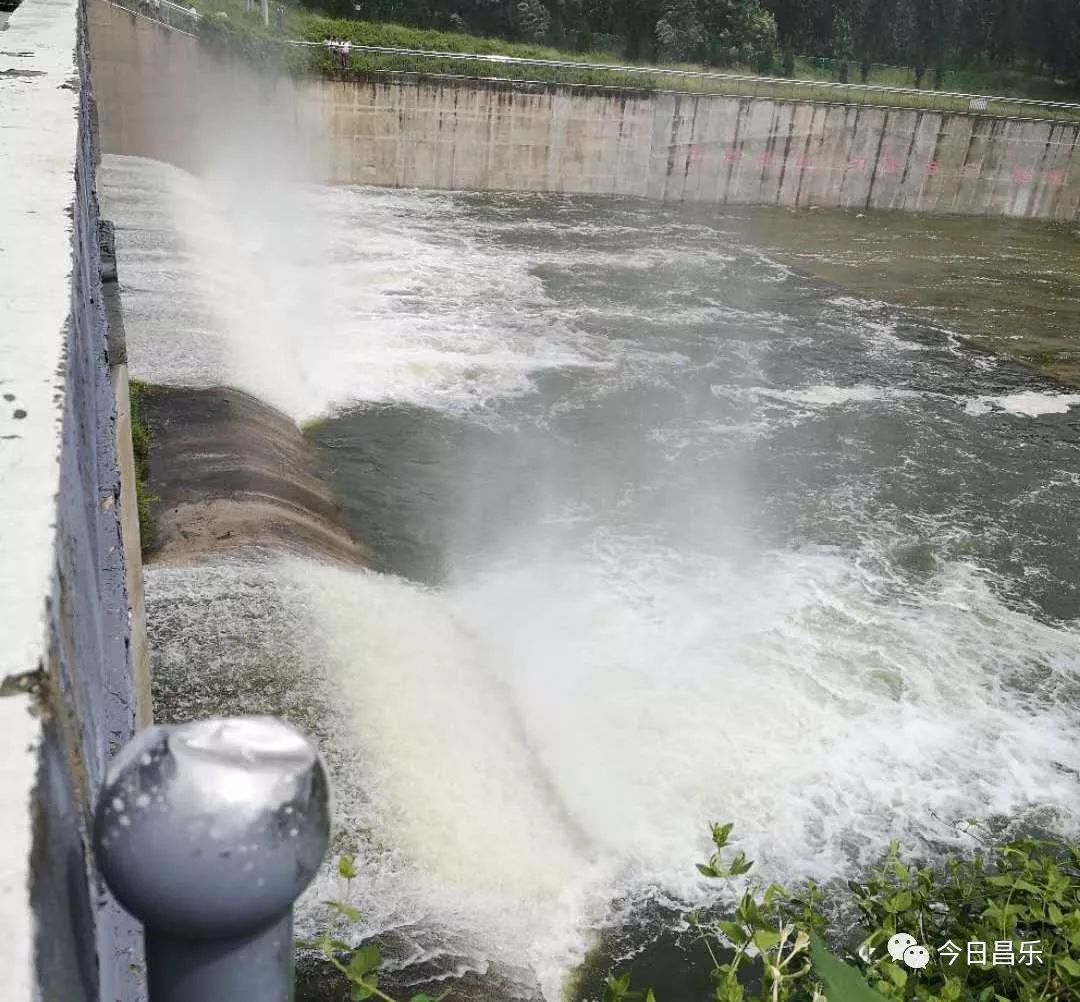 街道,大棚都被淹,昌乐成"水都,预报本周仍然多雨闷热