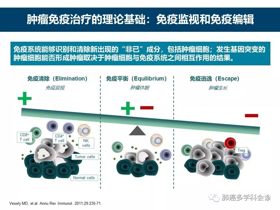 腫瘤免疫治療的歷史和發展