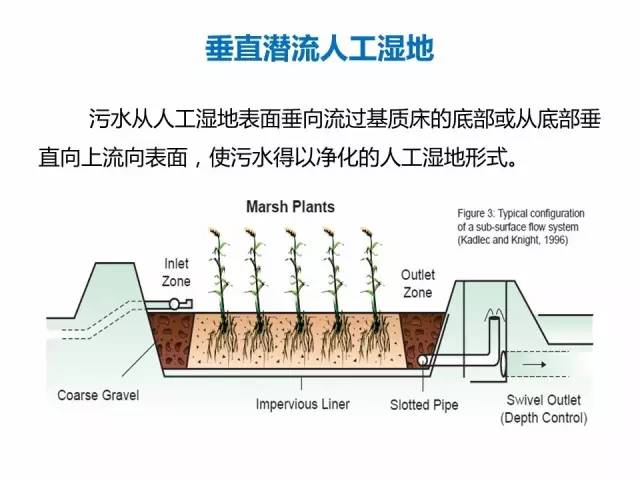 人工湿地原理图片