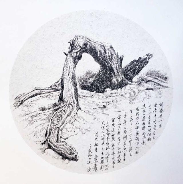 沈水林先生的钢笔画《西域风情之大漠胡杨》系列赏析