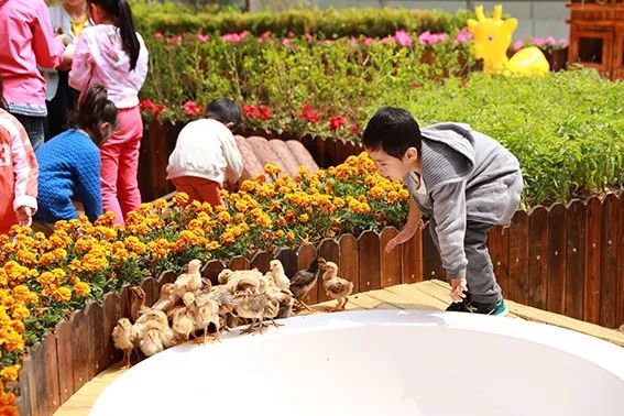 超值親子卡首團東北首家室內動物園萌寶卡開團啦不限次暢玩超長有效期