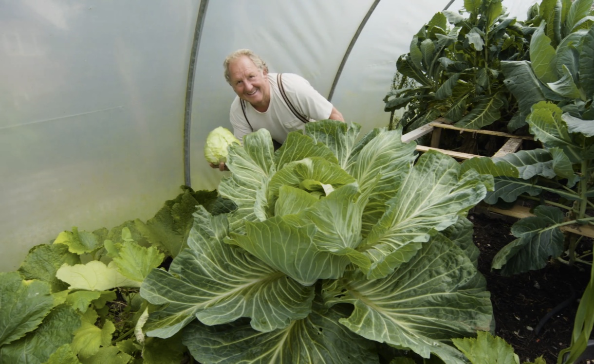 他种植巨型蔬菜32年一颗卷心菜就够100多人吃还创造了世界纪录