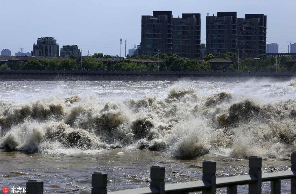 浙江海寧農曆七月初四大潮汛 遊客老鹽倉觀潮